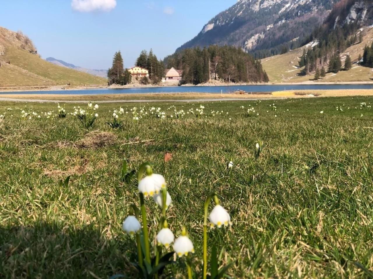 Ferienwohnung Im Dorf Urnaesch Bagian luar foto